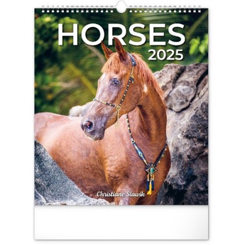 Realsystem 2025 Horses 6087-HO falinaptár