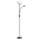 BlitzWill BWL-FL-0001 Double Floor Lamp  with remote 36W (black)