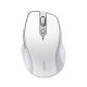 Wireless mouse UGREEN MU101 2.4G (White)