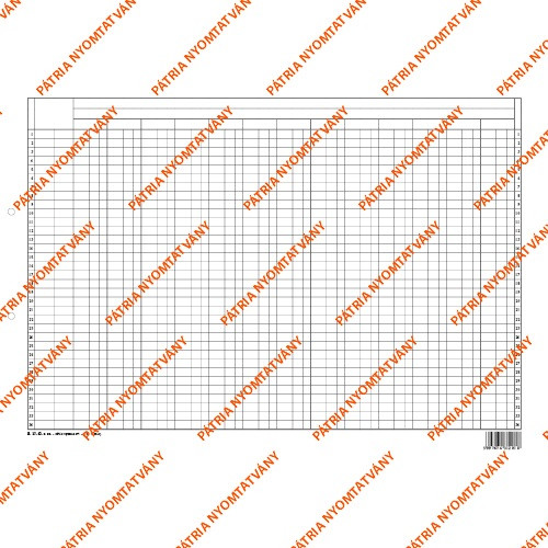 Könyvelési statisztikai gyüjtőív szabadlap 420x295 mm