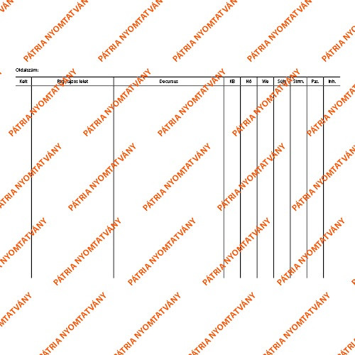 Decursus lap 203x140 mm