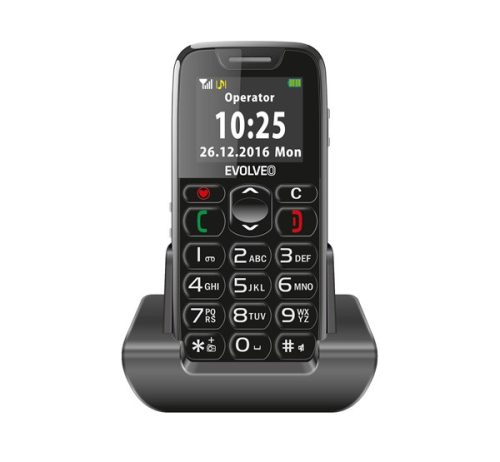 Evolveo EasyPhone (EP-500)