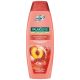 Palmolive sampon 350 ml 2in1 Hydra Balance