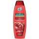 Palmolive sampon 350 ml Brilliant Color Pomegranate