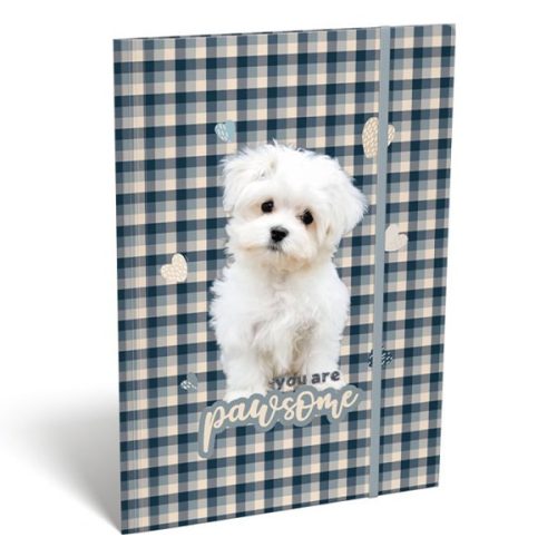 Gumis mappa LIZZY CARD A/4 Pawsome