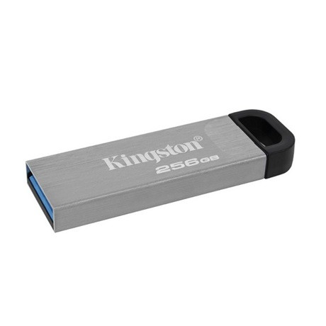 Kingston PENDRIVE DTKN/256GB