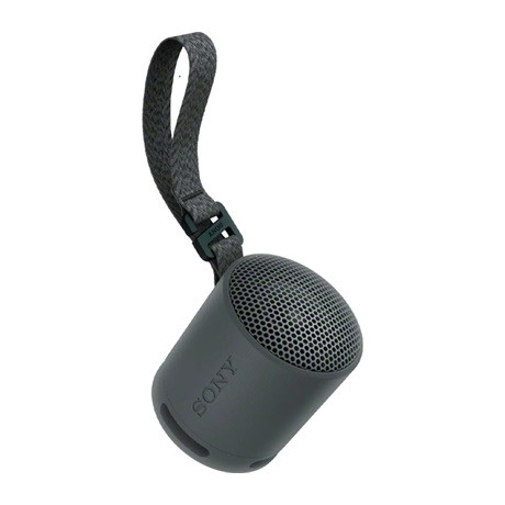 Sony BLUETOOTH HANGSZÓRÓ SRSXB100B