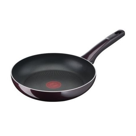 Tefal SERPENYŐ 24CM RESIST INTENSE D5220483